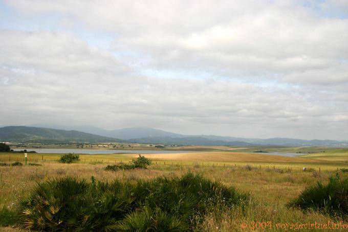 Paisagem Embalse de Barbate, Alcalá de los Gazules - Espanha, Andaluzia