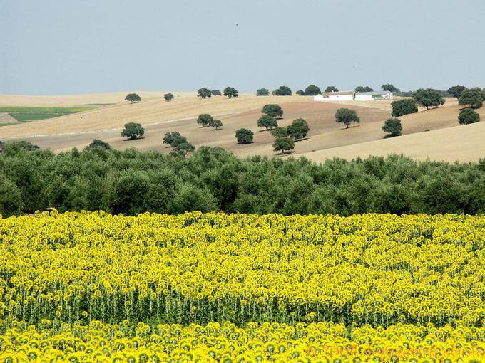 Paisagem andaluza, Almodovar Del Rio - Espanha