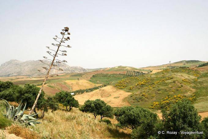 Paisagem andaluza em torno Antequera - Espanha