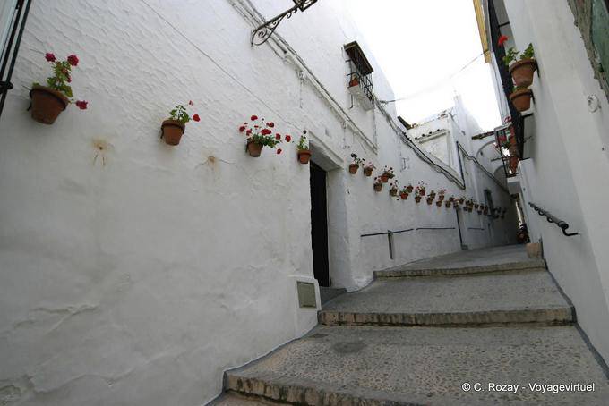 Gerânios Rua Arcos de la Frontera - Espanha