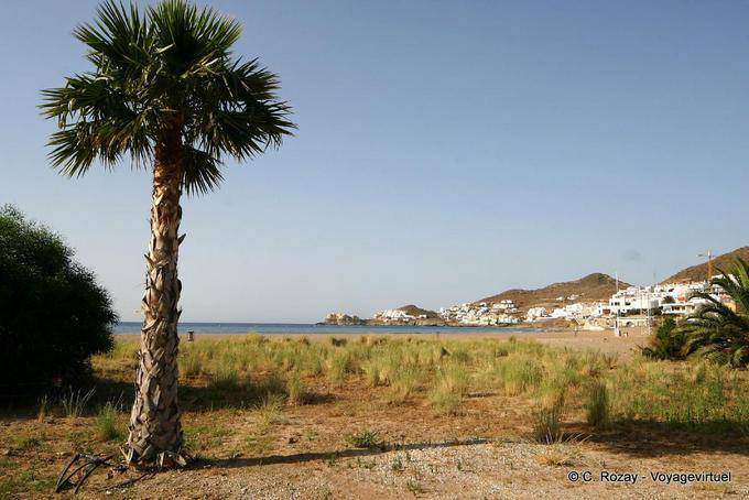 Palmeira San Jose Cabo de Gata - Espanha