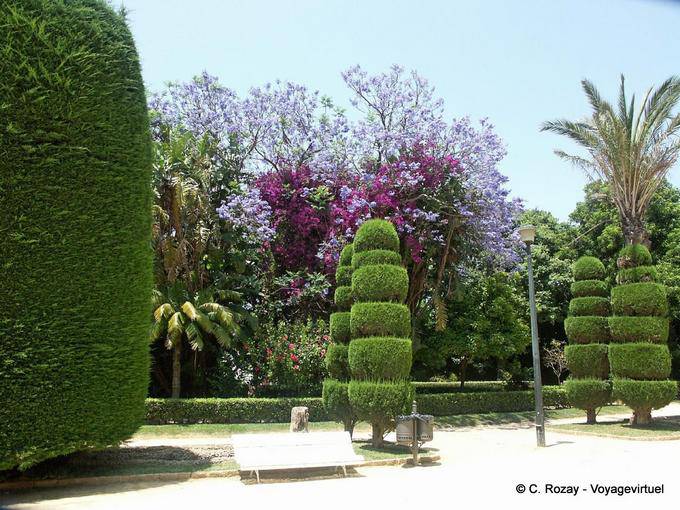 Topiary Parque Genoves, Cadiz - Espanha, Andaluzia
