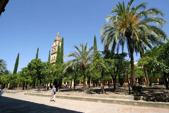 No jardim do Patio de los Naranjos, Córdoba - Espanha, Andaluzia
