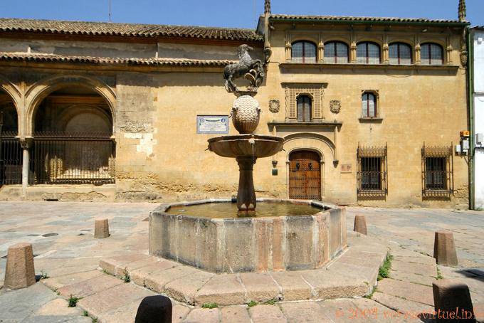 Cavalo Fountain, Plaza del Potro, em frente ao Museo de Bellas Artes, Cordoba - Espanha, Andaluzia
