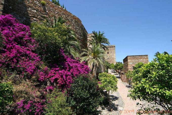 Paredes florais da Alcáçova, Malaga - Espanha, Andaluzia