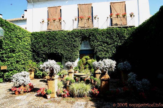 Invasão de plantas controlada no pátio de las Rejas, Palacio de Viana, Cordoba - Espanha, Andaluzia