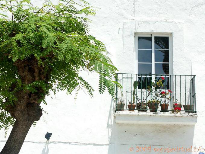 Árvore e balconette, Tarifa - Espanha