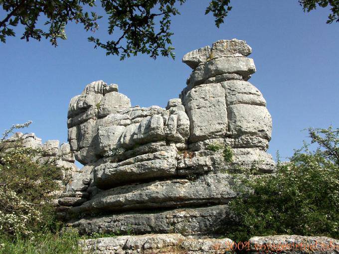 Coq rocha calcária, Torcal de Antequera - Espanha, Andaluzia
