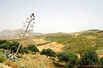 Paisagem andaluza em torno Antequera, Espanha.
