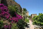 Paredes florais da Alcáçova, Malaga, Espanha.