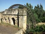 Noria de ALBOLAFIA, Cordoba, Espanha.