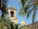Vista entre as palmeiras nos jardins do Alcazar, Cordoba, Espanha.