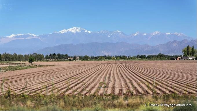 Campo cultivado Andes Ruta 7 Mendoza - Argentina