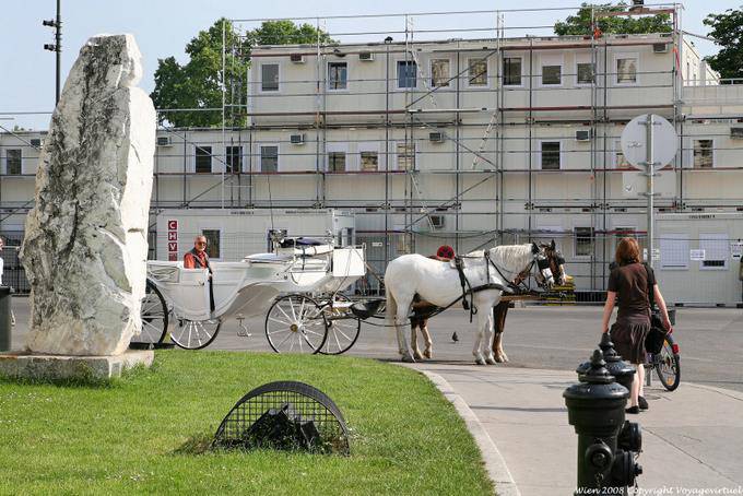 Burgtheater, branco carruagem puxada por cavalos - Viena - Austria