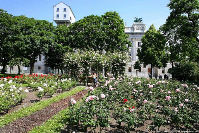 Schmerling Platz Midheaven Rosas - Viena - Austria