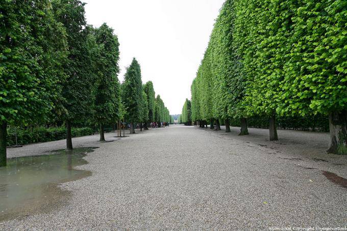 Schönbrunn, Driveway fronteira com alto - Viena - Austria