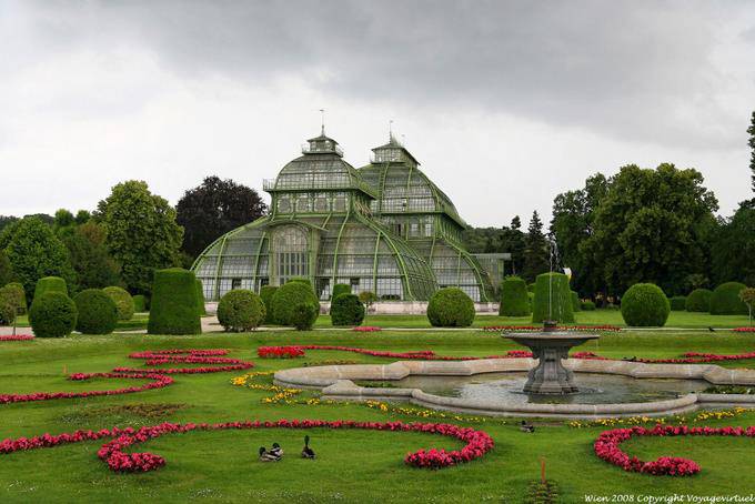 Topiary, fonte e Palm House, Schönbrunn Palmenhaus - Viena - Austria