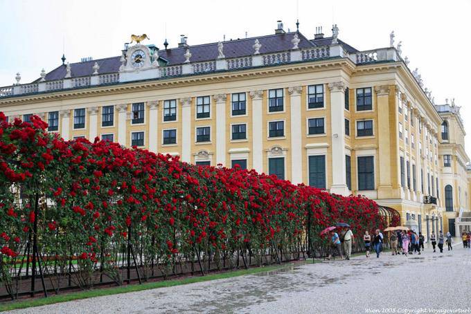 Schönbrunn, Rose Garden - Viena - Austria