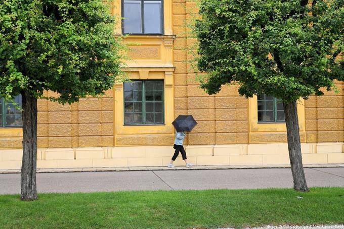 Schönbrunn, sob o guarda-chuva - Viena - Austria