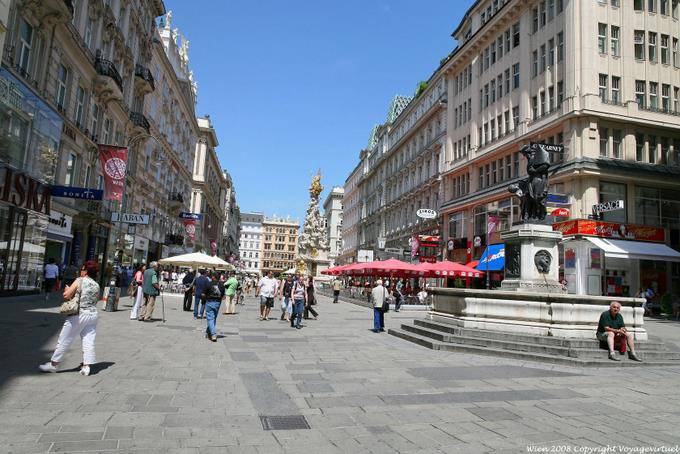 Fontaine Löwenbrunnen, Graben, Stadt - Viena - Austria