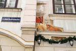 Backerstrasse, óculos Taurus, Viena - Austria.