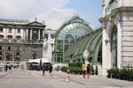 In der Burg, Schmetterlingshaus Butterfly House, Viena - Austria.