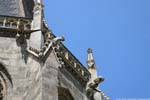 Stefansdom, Gargoyles Wasserspeier, Viena - Austria.