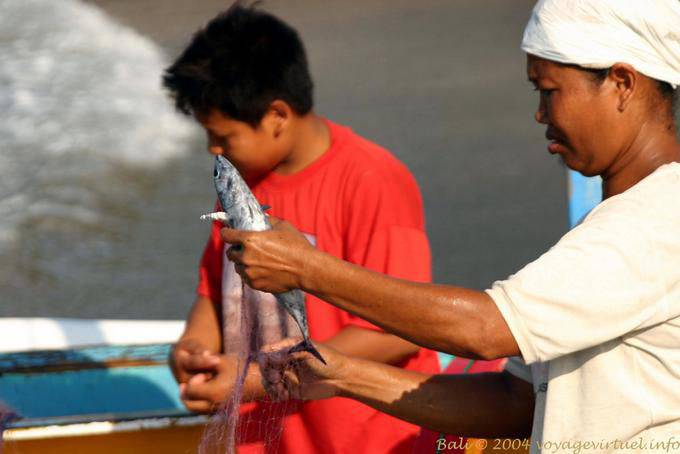 Pesca Voltar Candidasa - Bali