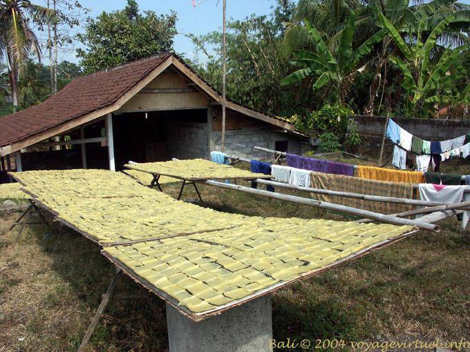 Especialidade local secagem Gianyar - Bali