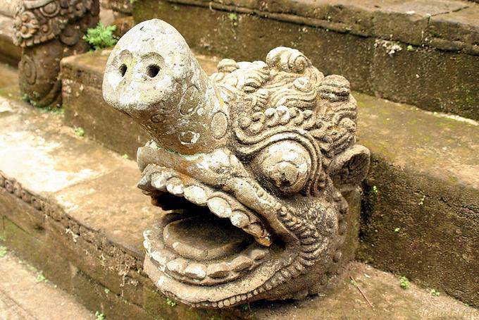Nariz de porco Bust, Pura Kehen - Bali
