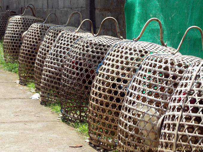 Crates Aves, Penglipuran - Bali
