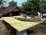 Especialidade local secagem Gianyar, Bali.