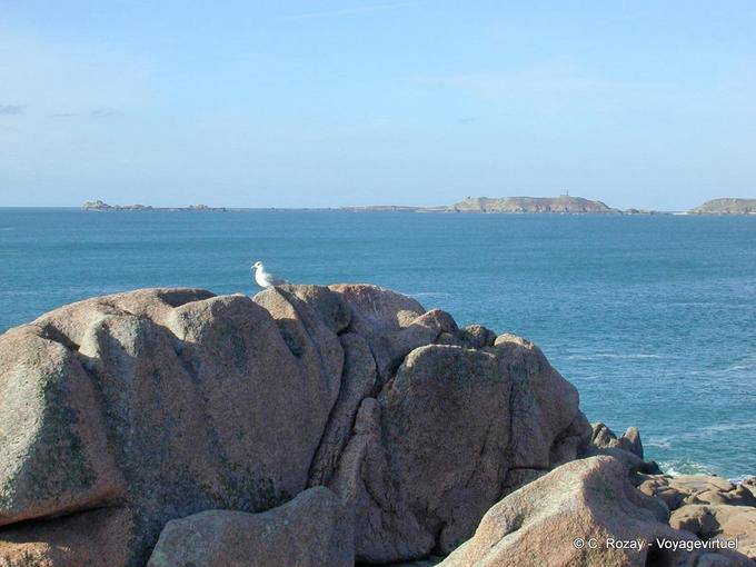 Gull Island Tomé e fora, Perros Guirec, Brittany - França