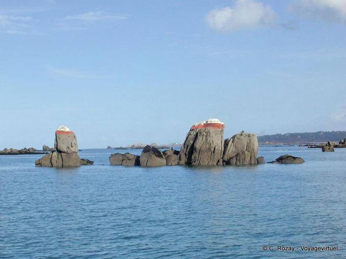 Rochas maré baixa na Morlaix arde, Brittany - França
