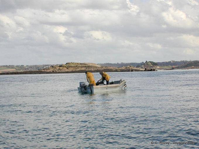 A pesca na Baía de Morlaix, Brittany - França