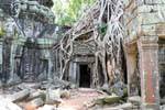 Raízes emaranhadas em porta, Ta Prohm-, Camboja.