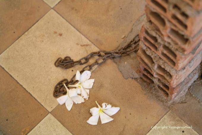 Flores nas cadeias, Genocide Museum Khmer, Phnom Penh - Camboja