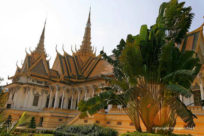 A árvore de viajante no jardim do Palácio Real, Phnom Penh - Camboja