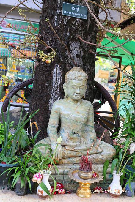 Buddha sob a Roxb robusta Shorea sal ou Wat Preah Keo, Phnom Penh - Camboja
