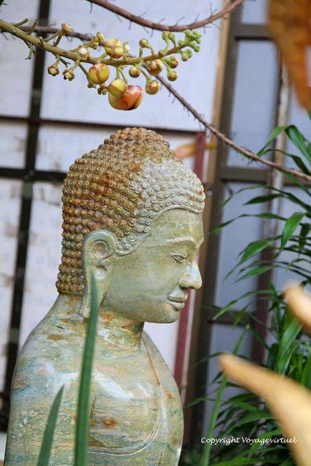 Buddha perfil e frutos do sal, Wat Preah Keo, Phnom Penh - Camboja