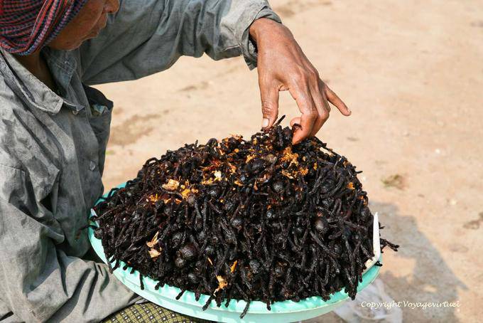Spiders alimentares são bons para a saúde, Skun (Skuon) - Camboja