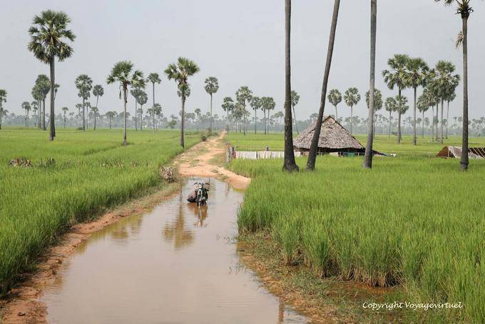 Reparos na zona rural estrada inundada para Skun - Camboja