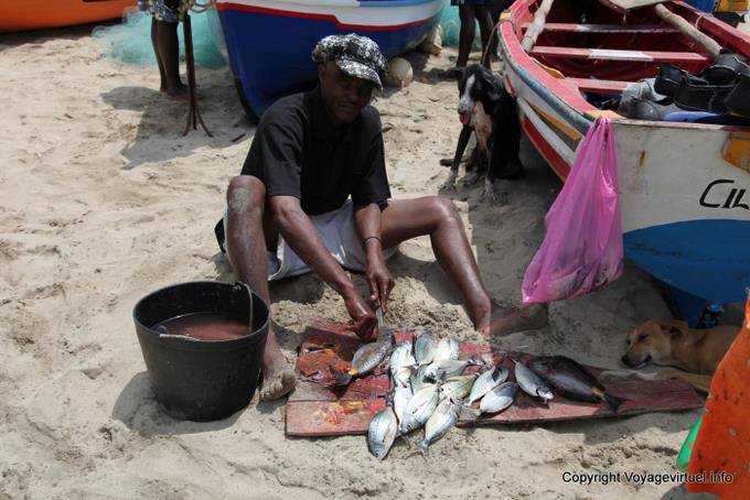 Santiago, Tarrafal, escala de peixes - Cabo Verde