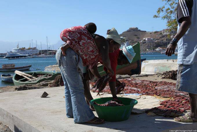 São Vicente, porto de pesca do Mindelo, trio de peixe - Cabo Verde