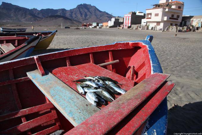 São Vicente, São Pedro, tenda improvisada volta pesca - Cabo Verde