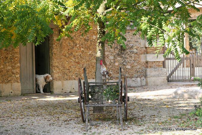 Dog, galo e vagão na Hameau de la Reine, Palácio de Versalhes
