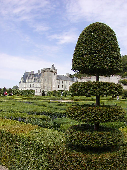 Topiary Ornamento do jardim, vista a partir do segundo quarto, Château de Villandry, França.