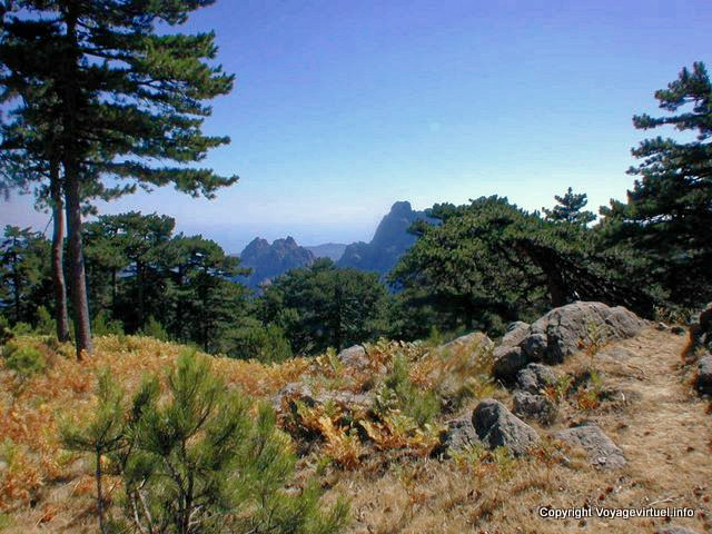 Maquis corso e montanha, Córsega