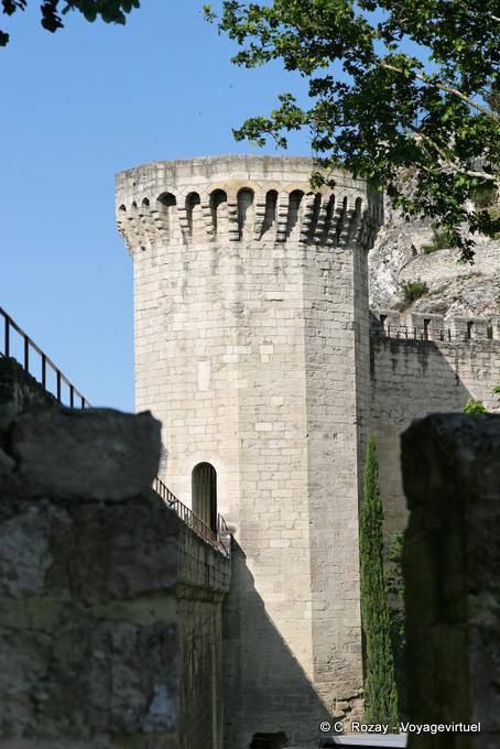 Cães se voltam para a Ponte St. Benezet, Avignon, Provença, França