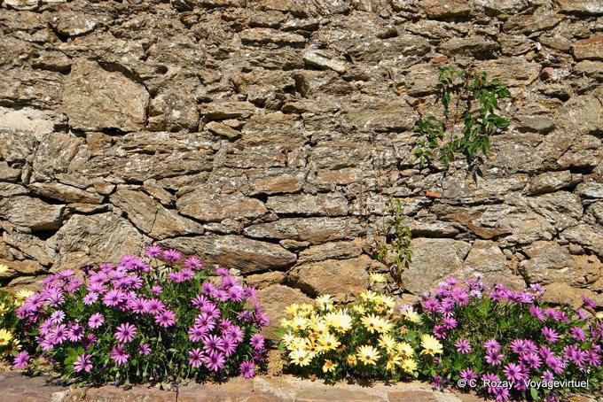 Beira da flor para Gassin velho muro, Provença, França